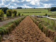 NH280922-197 - Sand Loop